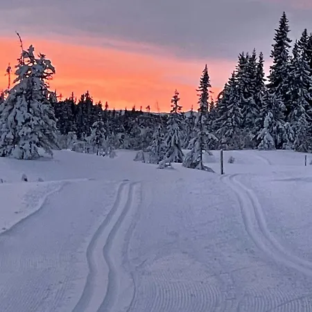 Mountain With Private Terrace By Mjogetjonn * Veggli
