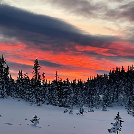 Mountain With Private Terrace By Mjogetjonn Veggli