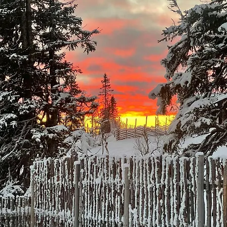 Mountain With Private Terrace By Mjogetjonn * Veggli
