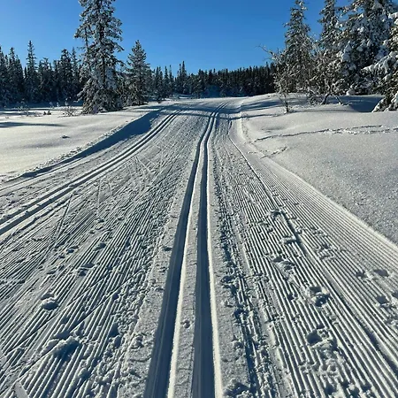 Tatil Evi Mountain With Private Terrace By Mjogetjonn Veggli